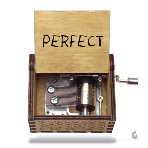 Accessoire musical Ed Sheeran, parfait pour les fans de musique